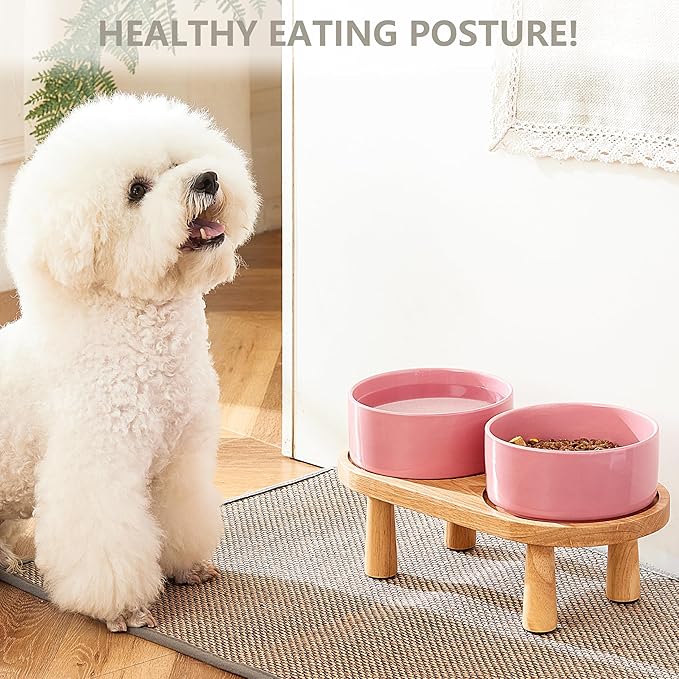 Ceramic Elevated Dog Bowls, Pet Food and Water Bowl Set for Medium and Small Dogs, 3.5 Cups Dog Bowls Raised with Wood Stand, 29OZ, Pink-Mewly Pet