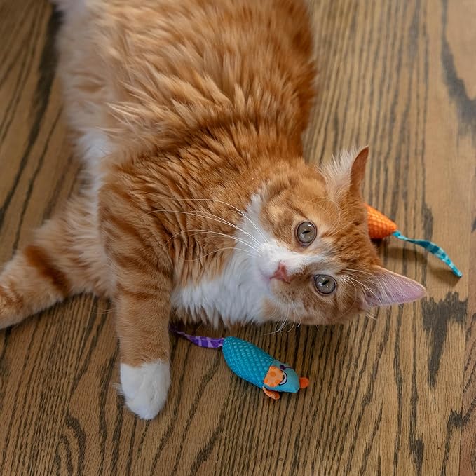 Catstages Catnip Chew Mice 2 Pack– Interactive Dental Cat Chew Toy that Helps Clean Teeth, Mouse, Multicolored-Mewly Pet