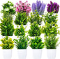 Mimorou 16 Pcs Small Fake Plants Mini Artificial Potted Plants Faux Pot Flowers Indoor Plastic Eucalyptus Greenery for Home Bathroom Living Room Office Decor