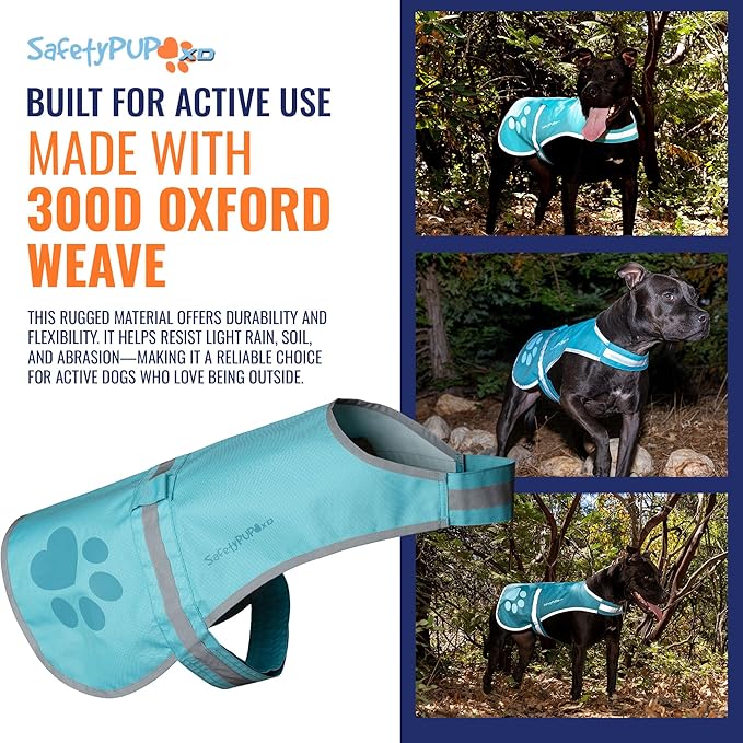 Dog Reflective Vest – Hi-Vis Fluorescent Visibility That Helps to Safeguard Your Pet On/Off Leash in Urban & Rural Areas (Teal, X-Small)-Mewly Pet