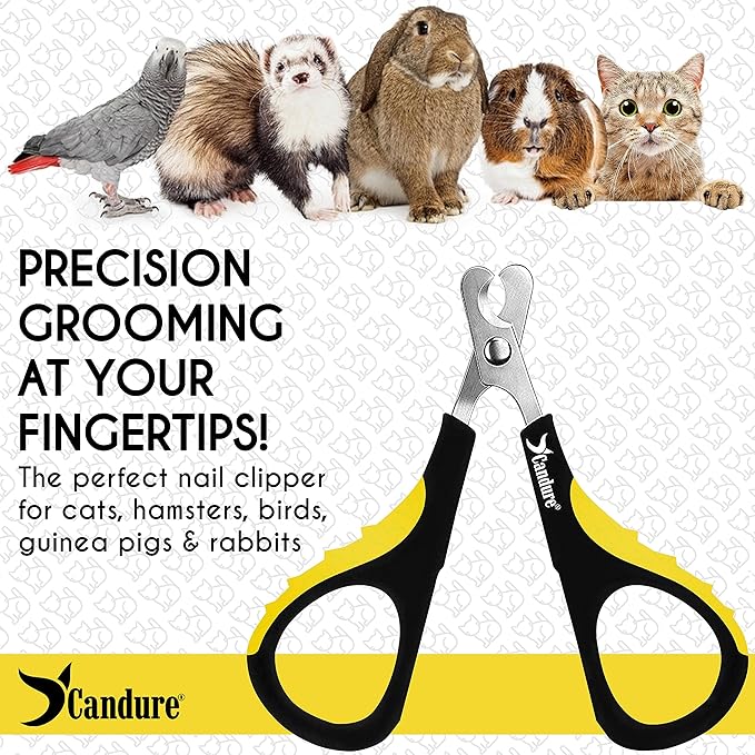 Candure Cat Nail Clipper Stainless Steel Cat Claw Trimmers for Rabbits, Guinea Pigs, Birds, Puppies, Kittens and Small Animals Pet Nail Clipper for Professional and Home Use (Yellow)-Mewly Pet