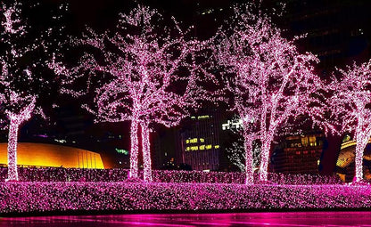 612 Vermont 50 Pink Christmas Lights on a White Wire String, UL Approved, Indoor and Outdoor Use, 9 Foot of Lighted Length, 11 Foot of Total Length