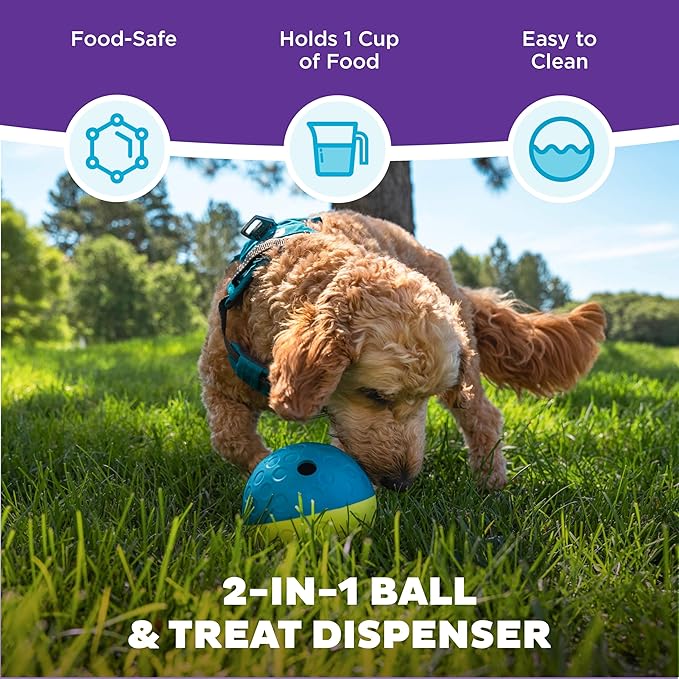 Outward Hound by Nina Ottosson Treat Tumble Interactive Puzzle Ball Dog Toy, Level 1 Beginner, Blue, Small (4.75" Diameter)-Mewly Pet