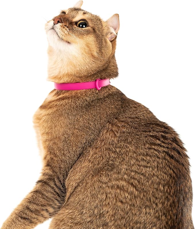 Breakaway Cat Collar - Soft, Comfortable, and Lightweight Safety Buckle Collar with Name Tag Ring for Outdoor Cats and Sensitive Skin Kittens by Nuvuq (6 ⅞" to 10 ¼", Pink)-Mewly Pet