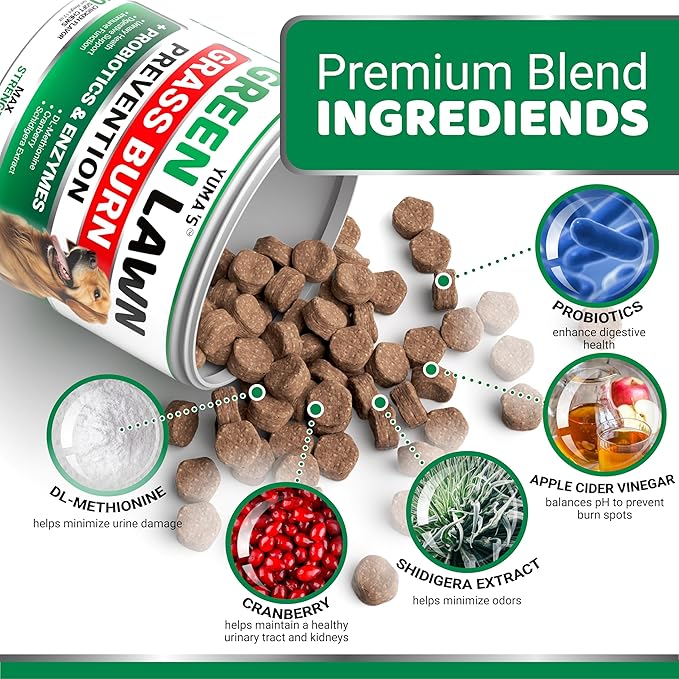 YUMA'S Dog Urine Neutralizer for Lawn - 170 Chews - Advanced Grass Green Savers for Dog Urine - Canine Pee Grass Neutralizer Supplement - Green Lawn Treats with Probiotics and Digestive Enzymes-Mewly Pet