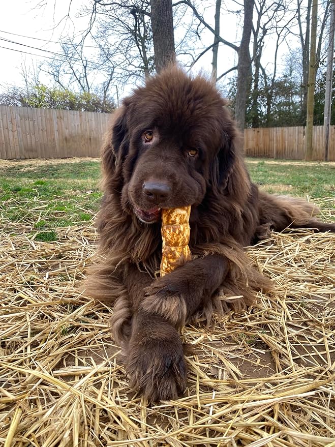 Redbarn Pet Products All-Natural Large Beef Cheek Rolls for Dogs, Chicken & Carrot Glazed - Single Ingredient Grain-Free Chew Treat Naturally Rich in Collagen - Packaging May Vary, Pack of 4-Mewly Pet