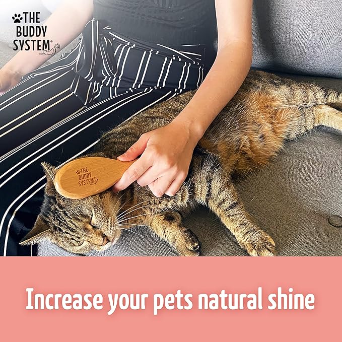 The Buddy System Cat Brush with Boar Bristle and Wooden Handle, Professional Grade Daily Grooming Hairbrush, Reduce Shedding, Soft Hair and Healthy Shine (1 Pack)-Mewly Pet