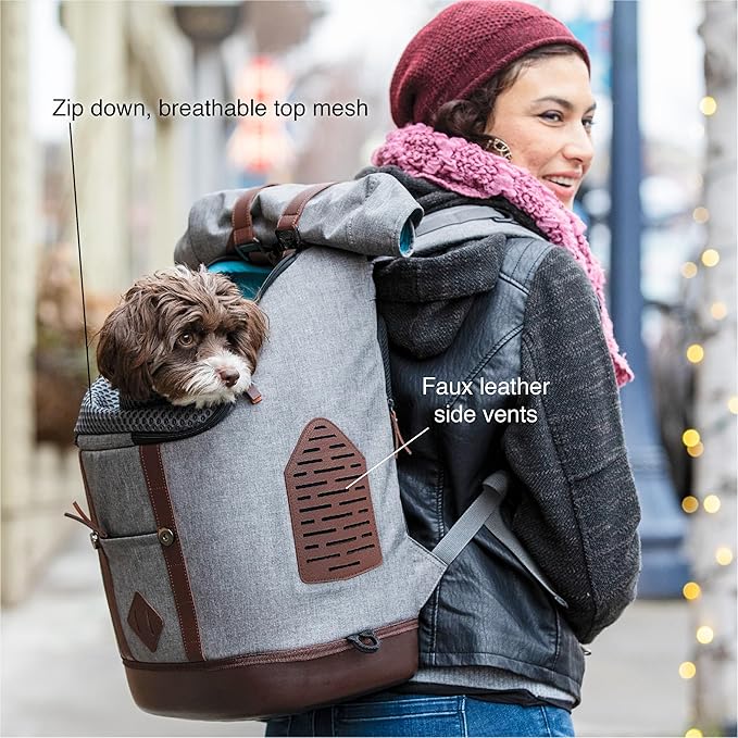 Kurgo Dog Carrier Backpack for Small Pets - Dogs & Cats | TSA Airline Approved | Cat | Hiking or Travel | Waterproof Bottom | G-Train | Ruck Sack | Heather Grey-Mewly Pet