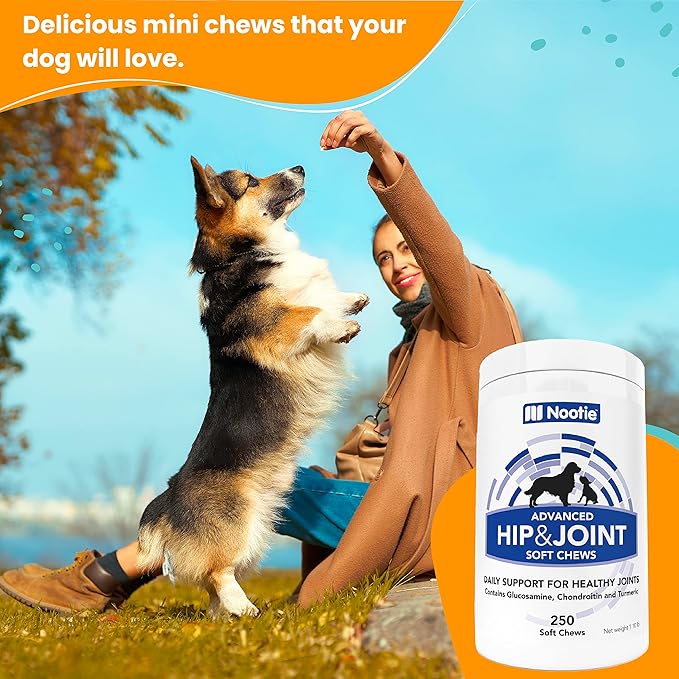 Nootie Glucosamine for Dogs - 250 ct - Hip and Joint Soft Chews Supplement for Dogs - Daily Dog MSM Chondroitin Chews with Turmeric - Joint Care Vitamins for All Breeds and Sizes USA-Mewly Pet