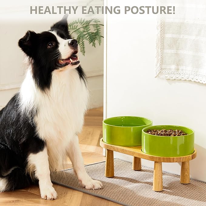 Ceramic Elevated Dog Bowls, Pet Food and Water Bowl Set for Large Dogs, 7.5 Cups Dog Bowls Raised with Wood Stand, 61OZ, Green-Mewly Pet