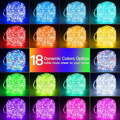 Ollny USB Rope Lights Outdoor Color Changing with Remote, 33FT 100 LED Waterproof String Lights, 18 Colors Fairy Christmas Light for Indoor Bedroom Party Garden Wedding Holiday Decorations