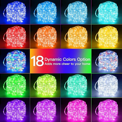 Ollny Rope Lights Outdoor Color Changing, 33FT 100 LED Waterproof Plug in Outdoor String Lights with Remote, 16 Colors Twinkle Christmas Lights for Outside Indoor Party Easter Holiday Decorations