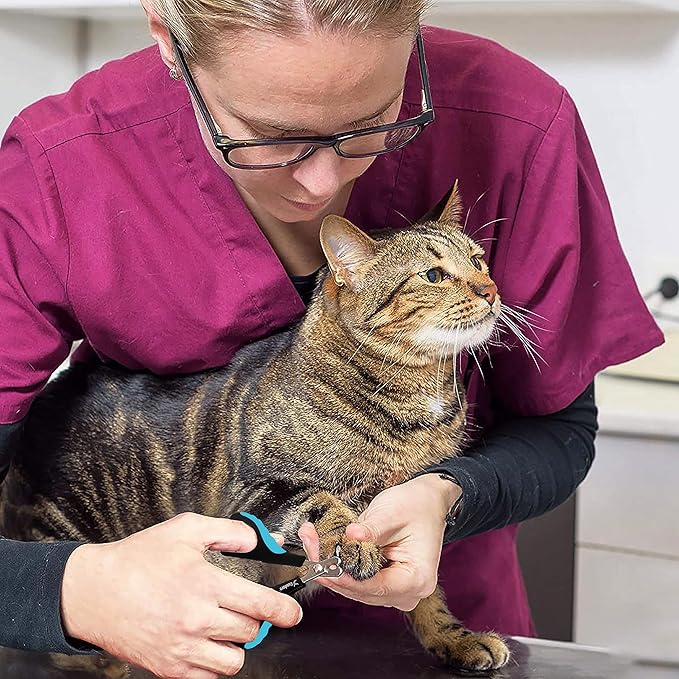 Candure Cat Nail Clipper Stainless Steel Cat Claw Trimmers for Rabbits, Guinea Pigs, Birds, Puppies, Kittens and Small Animals Pet Nail Clipper for Professional and Home Use (Blue)-Mewly Pet