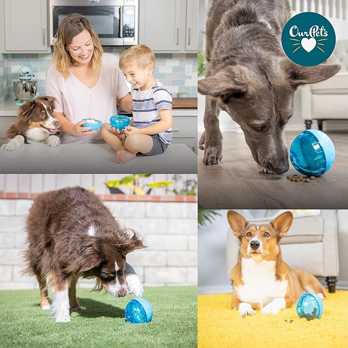 Our Pets Smarter Toys IQ Treat Ball - Colors Mary Vary - 4" - for Larger Dogs-Mewly Pet