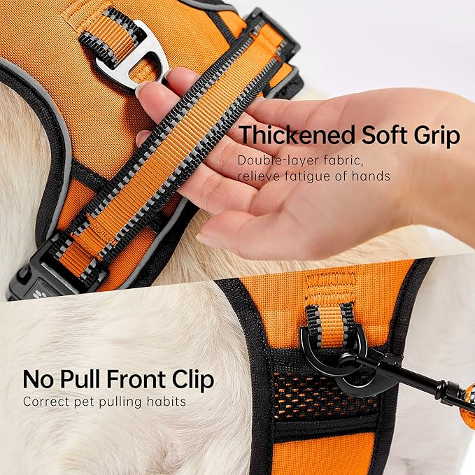 NESTROAD No Pull Dog Harness,Adjustable Oxford Dog Vest Harness with Leash,Reflective No-Choke Pet Harness with Easy Control Soft Handle for Small Dogs(Small,Orange)-Mewly Pet
