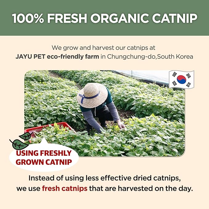 JAYU PET Active Catnip Spray - High Potency Transparent Liquid Spray made of Fresh Organic Catnip for Indoor Cats and Kittens, Relieves Stress, Calming, Revives Toys (1fl oz) (Catnip Spray, 1fl oz)-Mewly Pet