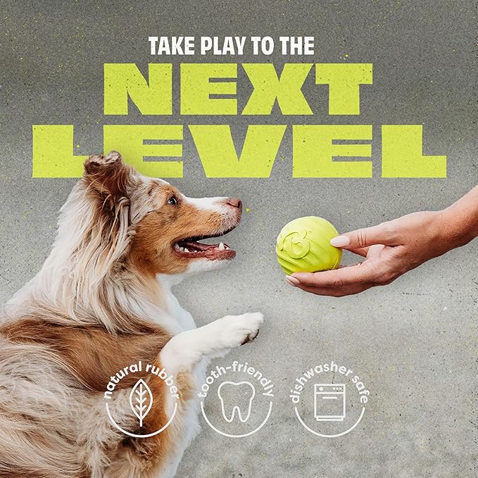 Benebone 4-Pack Rubber Ball-Mewly Pet