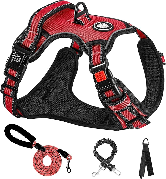 NESTROAD No Pull Dog Harness,Adjustable Oxford Dog Vest Harness with Leash,Reflective No-Choke Pet Harness with Easy Control Soft Handle for Small Dogs(Small,Red)-Mewly Pet