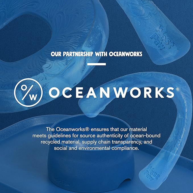 WEST PAW Seaflex Drifty Dog Toy – Machine Washable Dog Toys for Moderate Chewers – Eco-Friendly Zogoflex Toys for Dogs – Perfect for Gnawing, Fetch, Catch, Pet Training – 8.5" Large, Emerald-Mewly Pet