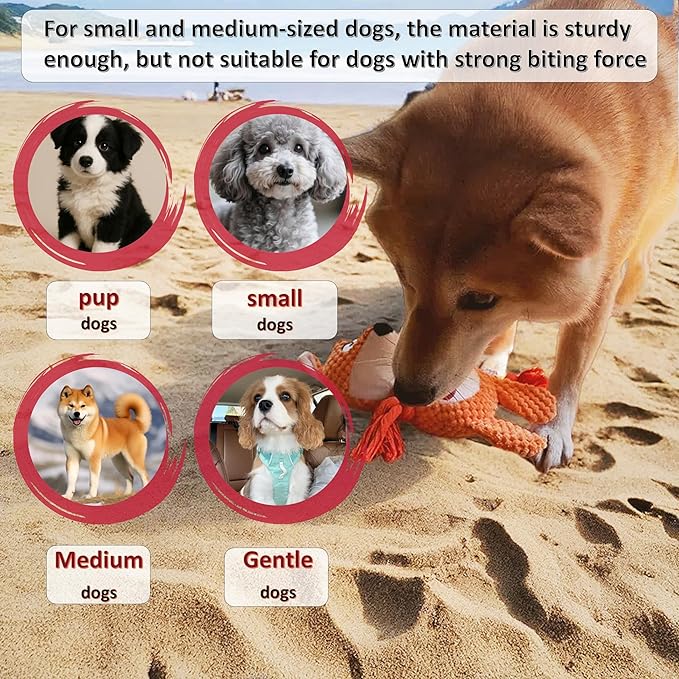 Nana Petit Fox Squeaky Dog Toys for Small & Medium Dogs – Plush Chew Toy, Interactive Puppy Teething Toys for Aggressive Chewers, Cute Stuffed Animal for Play, Training & Indoor Fun-Mewly Pet