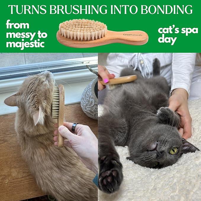GranNaturals Boar Bristle Soft Cat Brush for Indoor, Outdoor, Short Haired Cats, Kittens, Small Dog, Rabbit, Furry Pets - Gentle Grooming on Sensitive Hair Coat & Tail with Durable Wooden Handle-Mewly Pet