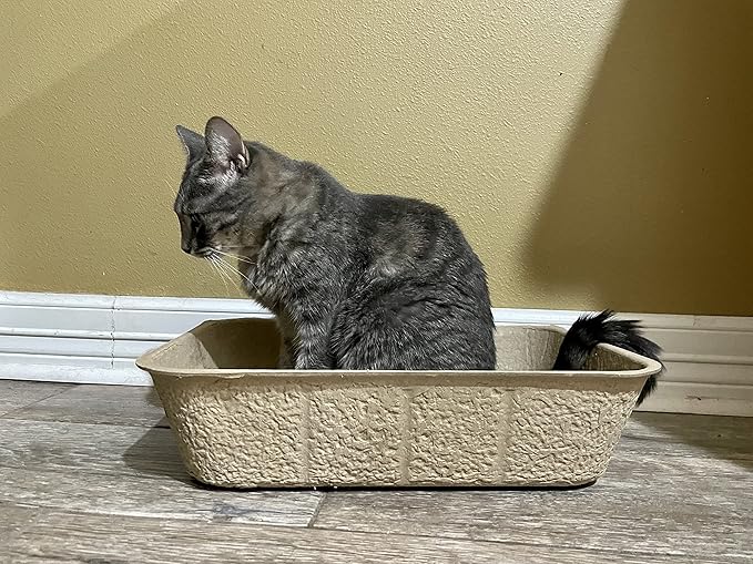 Midlee Disposable Cat Litter Boxes Pack of 5- Travel Portable Pet Tray Liner Pan-Mewly Pet