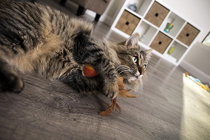 SmartyKat (2 Count) Flutter Balls Feather Cat Toys - Multi Color, 2 Count-Mewly Pet