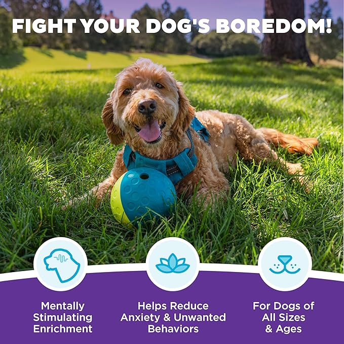 Outward Hound by Nina Ottosson Treat Tumble Interactive Puzzle Ball Dog Toy, Level 1 Beginner, Blue, Small (4.75" Diameter)-Mewly Pet