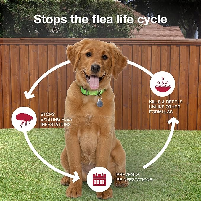 K9 Advantix II Medium Dog Vet-Recommended Flea, Tick & Mosquito Treatment & Prevention | Dogs 11-20 lbs. | 4-Mo Supply (Pack of 2)-Mewly Pet