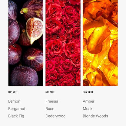 Hotel Collection Diffuser Oil - Black Velvet - Aromatherapy Essential Fragrance Oil - Blonde Woods, Rose, and Black Fig - 50ML 1.7 Fl oz