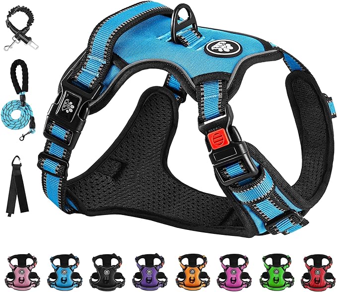 NESTROAD No Pull Dog Vest Harness with Leash, Adjustable Reflective Oxford Pet Harness with Easy Control Handle for Small Dogs, Blue-Mewly Pet