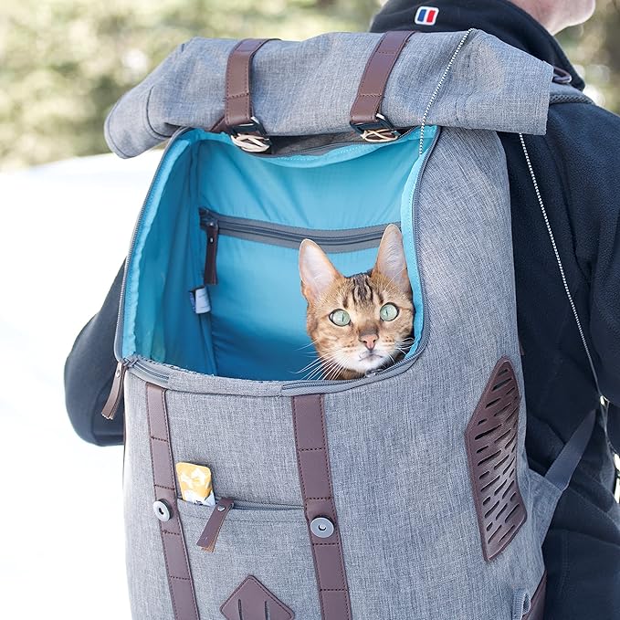 Kurgo Dog Carrier Backpack for Small Pets - Dogs & Cats | TSA Airline Approved | Cat | Hiking or Travel | Waterproof Bottom | G-Train | Ruck Sack | Heather Grey-Mewly Pet