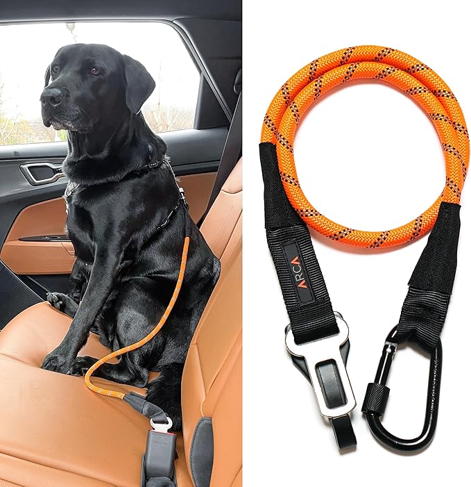 Dog Seat Belt for Car | Universal Dog Car Seatbelt | Durable Reflective Rope with Clip Hook Latch, Buckle and Carabiner- Safe and Secure Pet Safety Restraint (Orange)-Mewly Pet