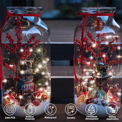 Fairy Lights Battery Operated 16.4Ft 50 LED Silver Copper Wire Twinkle Lights with 2 Lighting Modes for Christmas Bedroom Wedding Dorm Party Holiday Yard Decoration (Warm White)