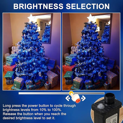 RPGT Christmas Light 500 LEDs 172ft Green Cable Wire Fairy String Outdoor Twinkle Lights Plug in 12 Modes for Xmas Tree, Party, Halloween, Indoor,Outdoor, Garden, Wedding, Home Decoration (Blue)