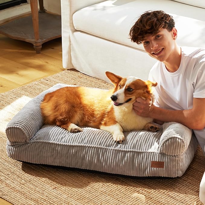 FUKUMARU Cute Dog Bed, Fluffy Dogs Couch with TPU Layer Keeping Lining Dry, Pet Sofa Medium Size Dog Easy to Care, Warm Cat Bed with Removable Zipper Cover, 36inch, Large, Light Grey-Mewly Pet