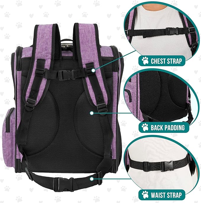 PetAmi Dog Backpack Carrier For Small Large Cat, Pet, Puppies, Ventilated Pet Hiking Backpack Travel Bag, Airline Approved Cat Backpack Carrier, Safety Back Support, Camping Biking, Max 18 lbs, Purple-Mewly Pet