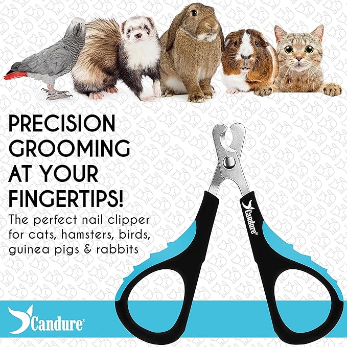 Candure Cat Nail Clipper Stainless Steel Cat Claw Trimmers for Rabbits, Guinea Pigs, Birds, Puppies, Kittens and Small Animals Pet Nail Clipper for Professional and Home Use (Blue)-Mewly Pet