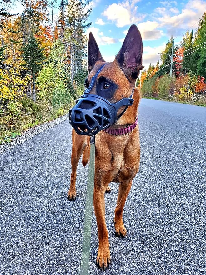 Mayerzon Dog Muzzle, Breathable Basket Muzzles for Small, Medium, Large and X-Large Aggressive Dogs Beagle German Shepherd Doberman, Cage Mouth Guard Stop Biting Chewing for Grooming Training-Mewly Pet