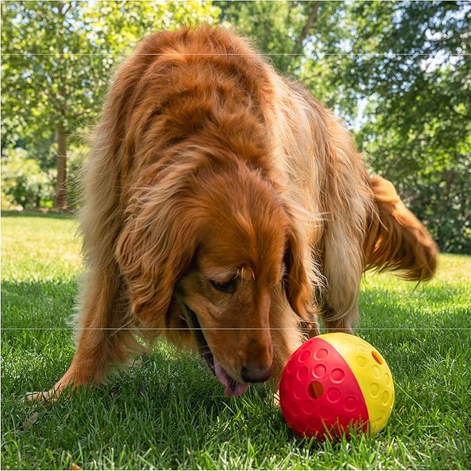 Outward Hound by Nina Ottosson Treat Tumble Interactive Puzzle Ball Dog Toy, Level 1 Beginner, Pink, Large (5.75" Diameter)-Mewly Pet