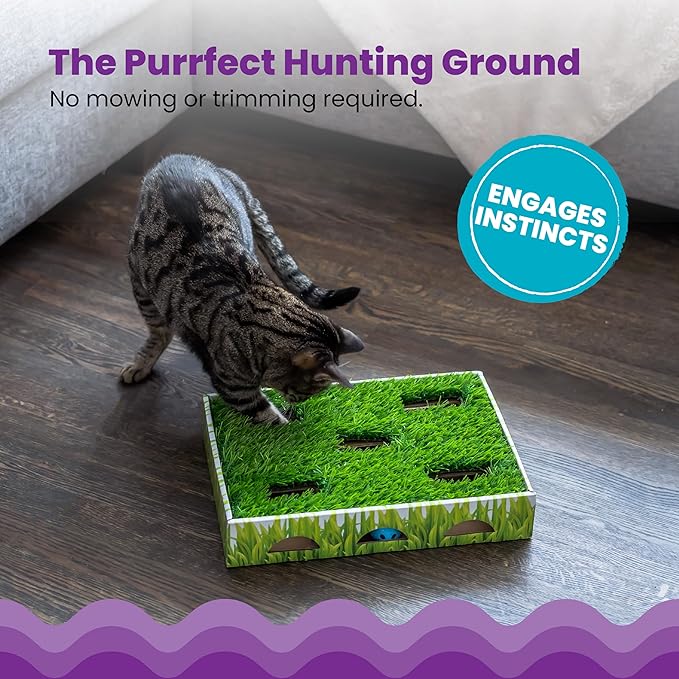 Catstages Grass Patch Hunting Box Interactive Bat & Swat Game for Indoor Cats, 3 Jingle Balls Included, Green-Mewly Pet