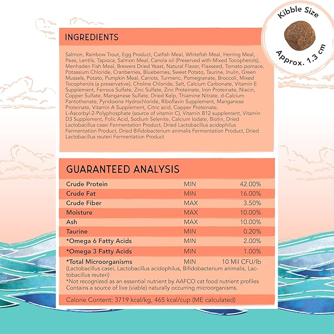 Blackwood Bounty Dry Cat Food, Salmon & Rainbow Trout Recipe for All Life Stages, 10 Pound Bag, High Protein, Grain Free-Mewly Pet