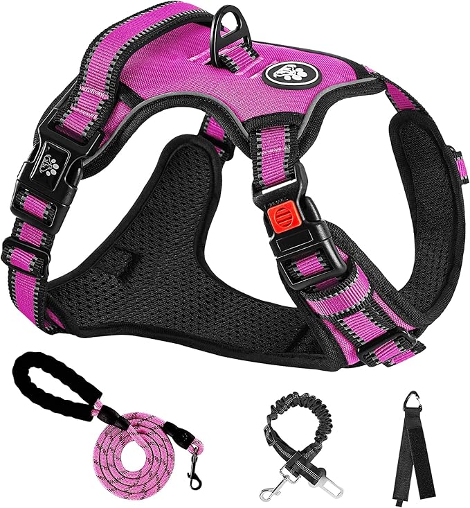 NESTROAD No Pull Dog Harness,Adjustable Oxford Dog Vest Harness with Leash,Reflective No-Choke Pet Harness with Easy Control Soft Handle for Large Dogs(Large,Fuchsia Pink)-Mewly Pet