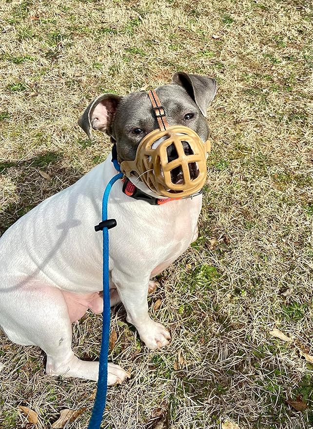 Mayerzon Dog Muzzle, Breathable Basket Muzzles for Small, Medium, Large and X-Large Aggressive Dogs Beagle German Shepherd Doberman, Cage Mouth Guard Stop Biting Chewing for Grooming Training-Mewly Pet