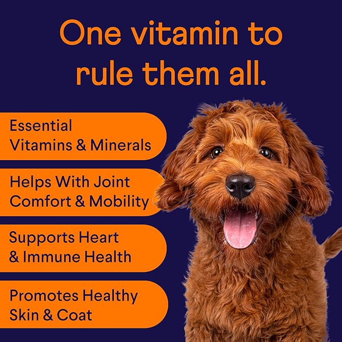 Finn All-in-1 Multivitamin for Dogs - Daily Multi with Probiotics, Omegas & Nutrients to Support Everyday Wellness - 90 Soft Chews-Mewly Pet