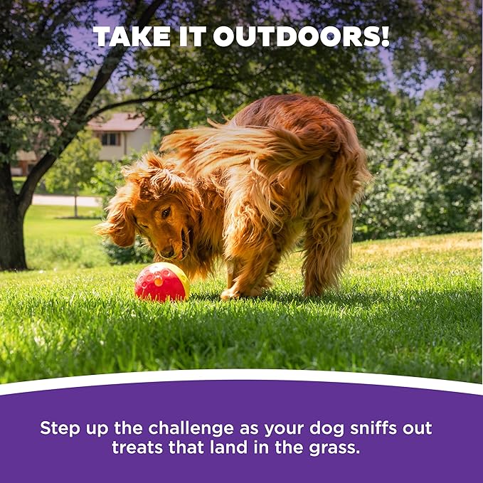 Outward Hound by Nina Ottosson Treat Tumble Interactive Puzzle Ball Dog Toy, Level 1 Beginner, Pink, Large (5.75" Diameter)-Mewly Pet