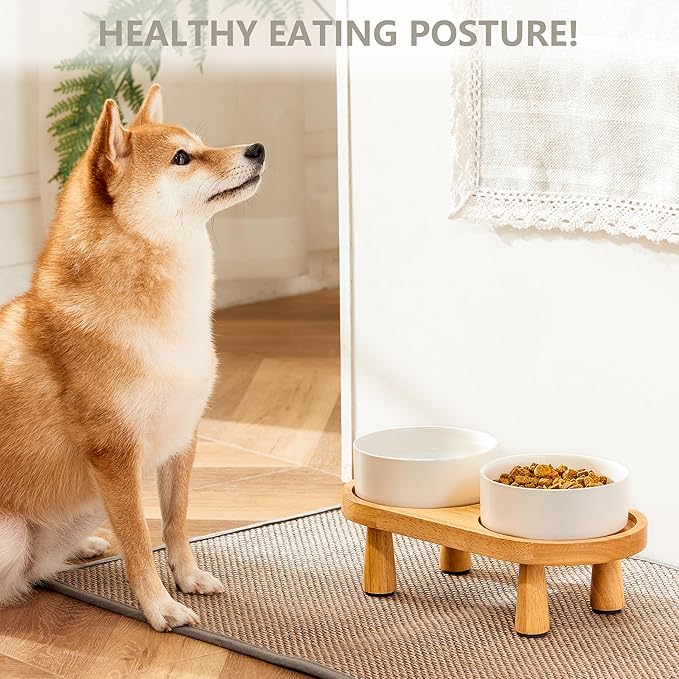 Ceramic Elevated Dog Bowls, Pet Food and Water Bowl Set for Small Dogs and Cats, 1.7 Cups Elevated Cat Bowls with Wood Stand, 14OZ, White-Mewly Pet