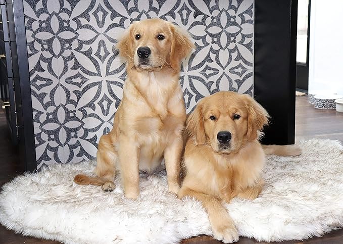 PupRug Orthopedic Dog Bed for Large Dogs with Fluffy Soft Faux Fur and Memory Foam for Joint Pain Relief, Machine Washable and Waterproof Couch Bed, White, Extra Large-Mewly Pet