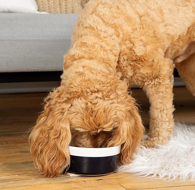 Waggo Dipper Ceramic Dog Bowl for Small and Large Breeds - Heavyweight and Durable Pet Food and Water Dish Crock, Dishwasher Safe, Modern (Dolphin, Large)-Mewly Pet