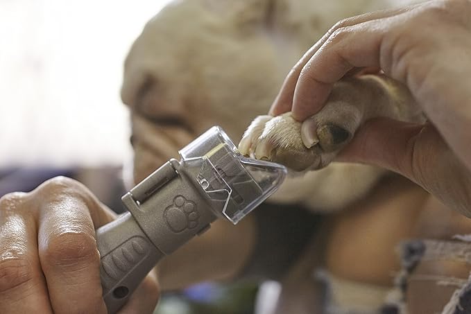 Dremel Pet Grooming Nail Guard Attachment, Ideal for Dog & Cat Nail Trimming, AT02-PGK-Mewly Pet